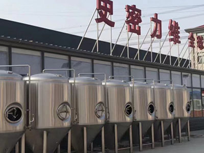 塔城精酿啤酒设备厂—市场规模与跨界新需求
